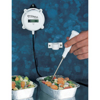 Hanna Instruments HI 146 Precision Wall Thermometer