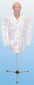 Test-Manikin (Includes: Manikin, Lab coat, and Stand)