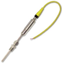 Intempco M25 Industrial Temperature Sensor w/ M12 Micro-Connector