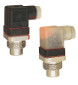 Kobold TWR-5100 Temperature Switch for Liquid (Brass)